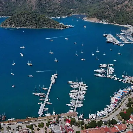 Portville Holiday Villas - Dila